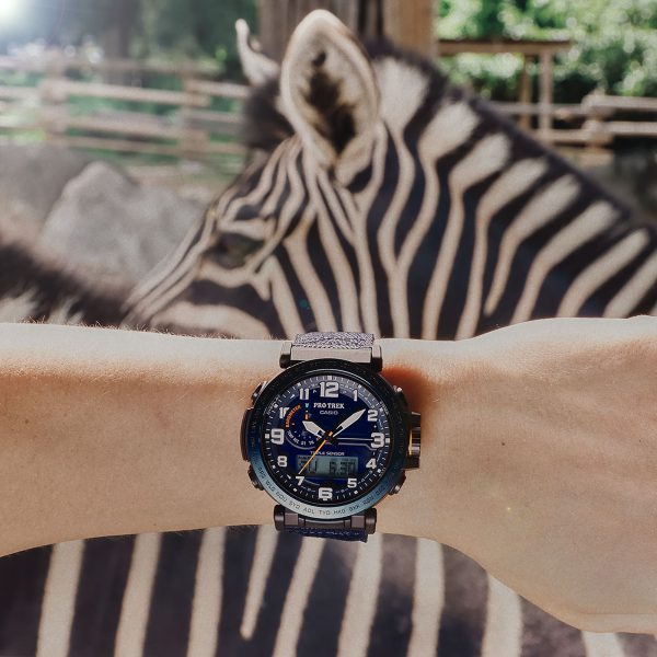 ساعت مچی PRO TREK کاسیو مدل PRG-601YB-2DR